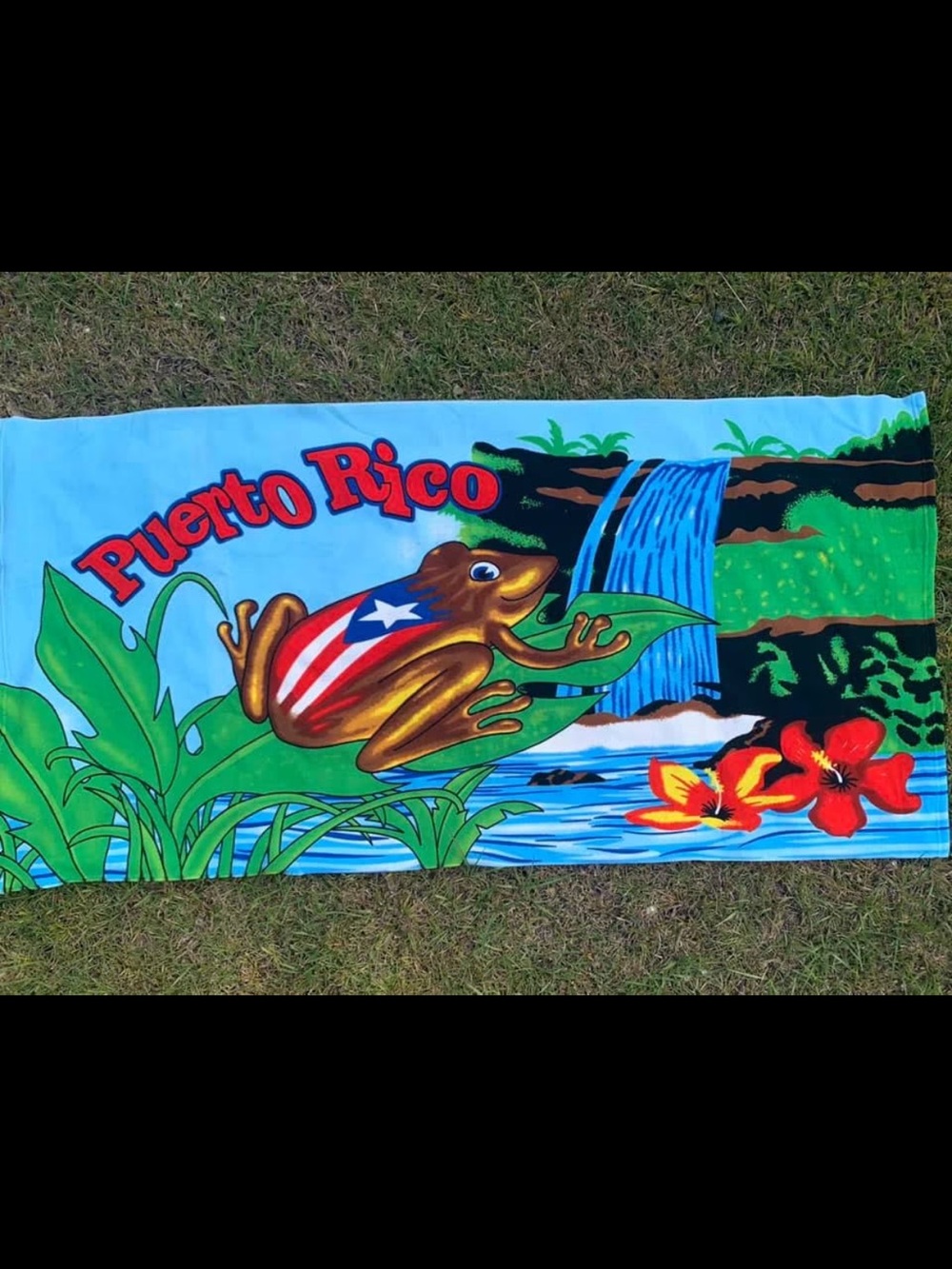 Puerto Rico Coquí Print Beach Towel - Bright Multicolor